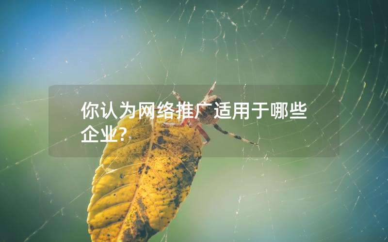你认为网络推广适用于哪些企业?