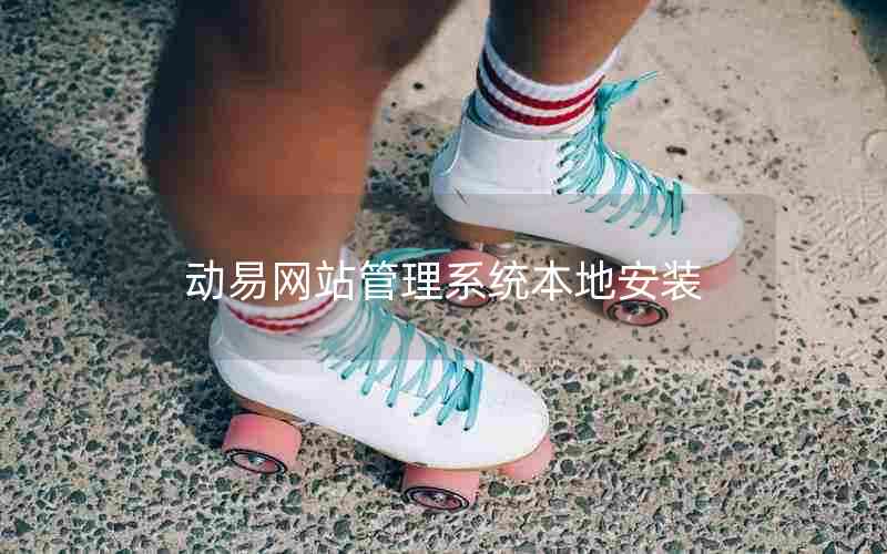 动易网站管理系统本地安装