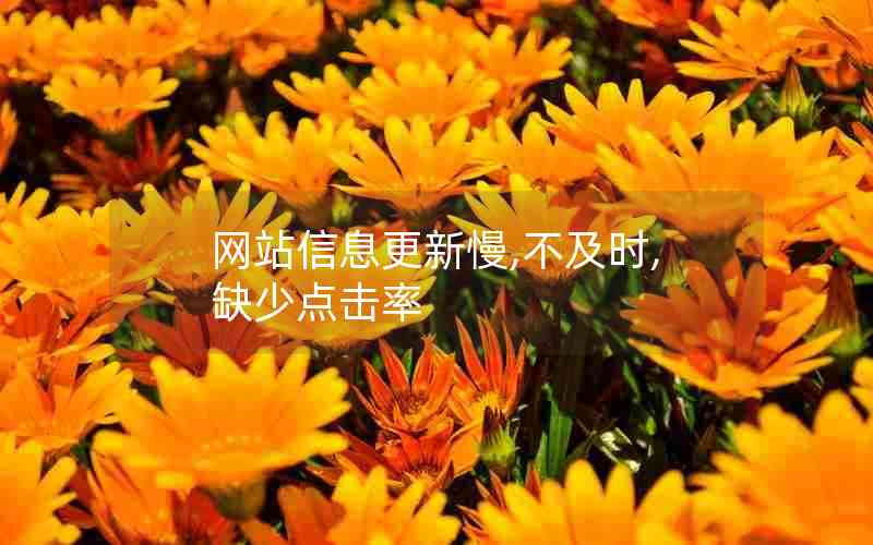 网站信息更新慢,不及时,缺少点击率