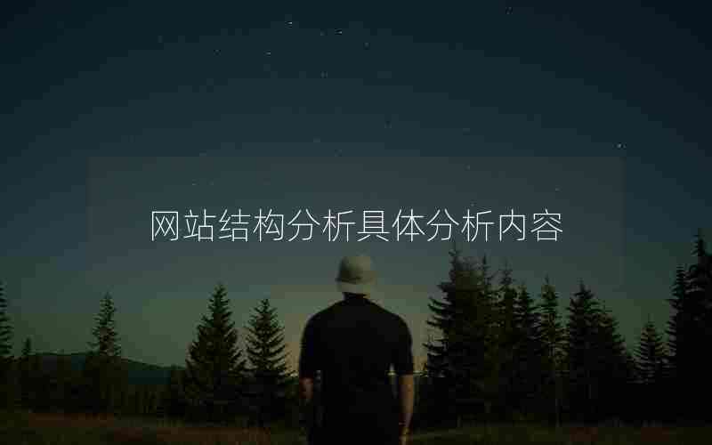 网站结构分析具体分析内容