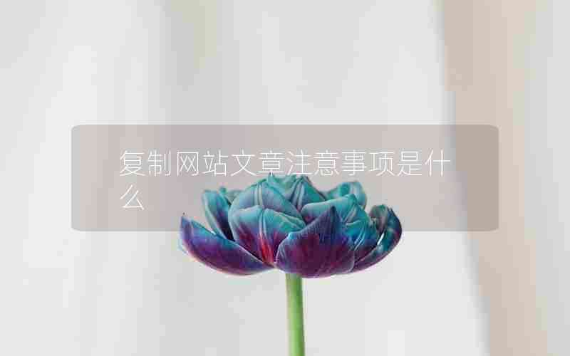 复制网站文章注意事项是什么