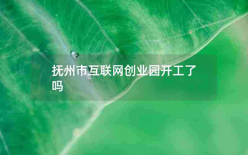 抚州市互联网创业园开工了吗