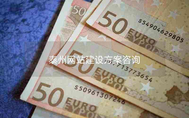 泰州网站建设方案咨询