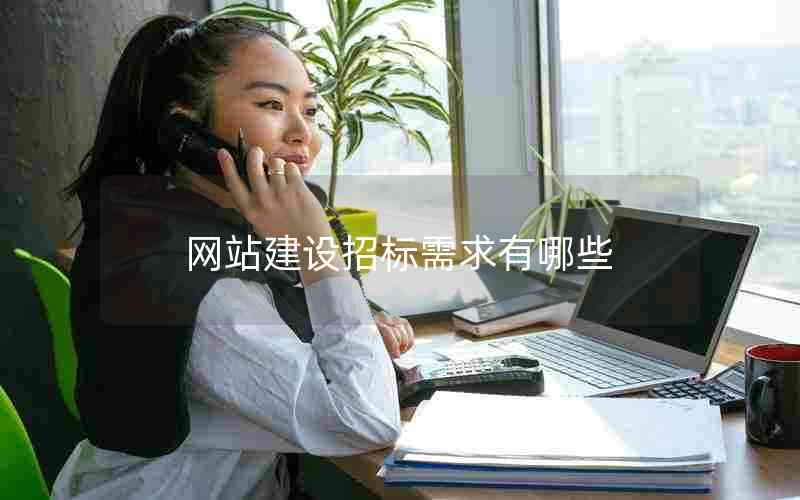 网站建设招标需求有哪些