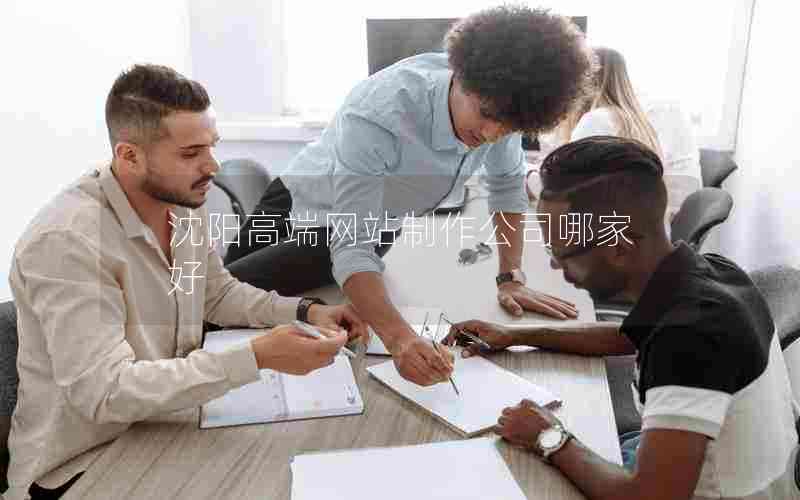沈阳高端网站制作公司哪家好