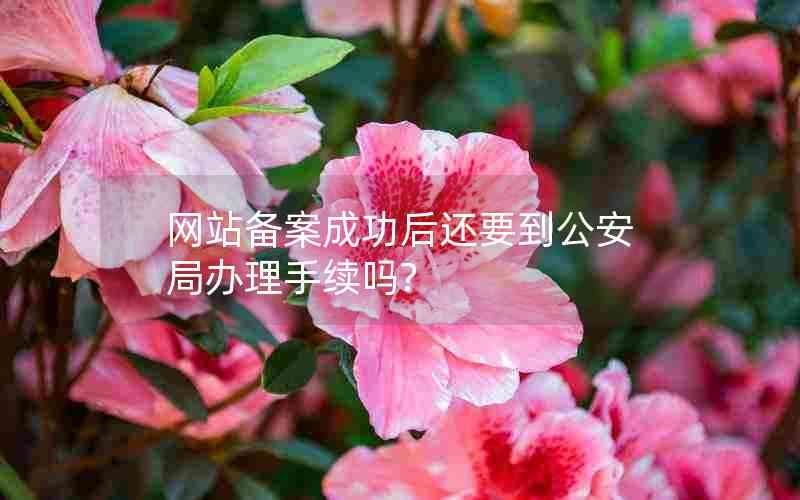 网站备案成功后还要到公安局办理手续吗?