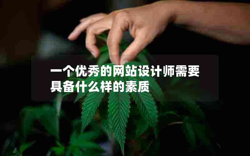 一个优秀的网站设计师需要具备什么样的素质