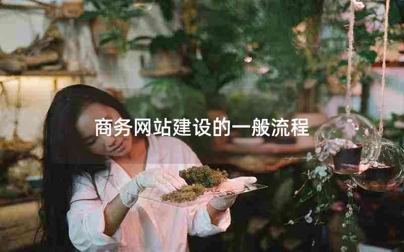 商务网站建设的一般流程