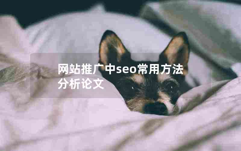 网站推广中seo常用方法分析论文