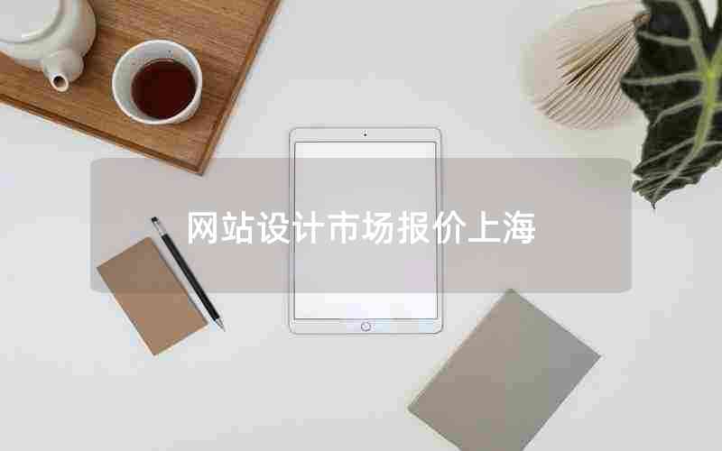 网站设计市场报价上海(上海网站设计有名 乐云践新)