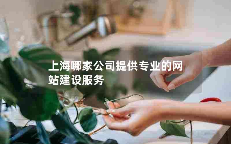上海哪家公司提供专业的网站建设服务