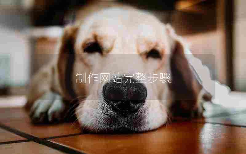 制作网站完整步骤