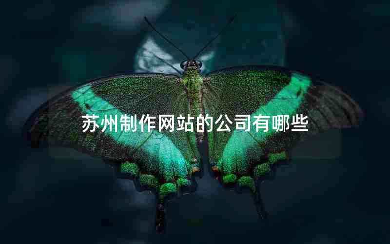 苏州制作网站的公司有哪些