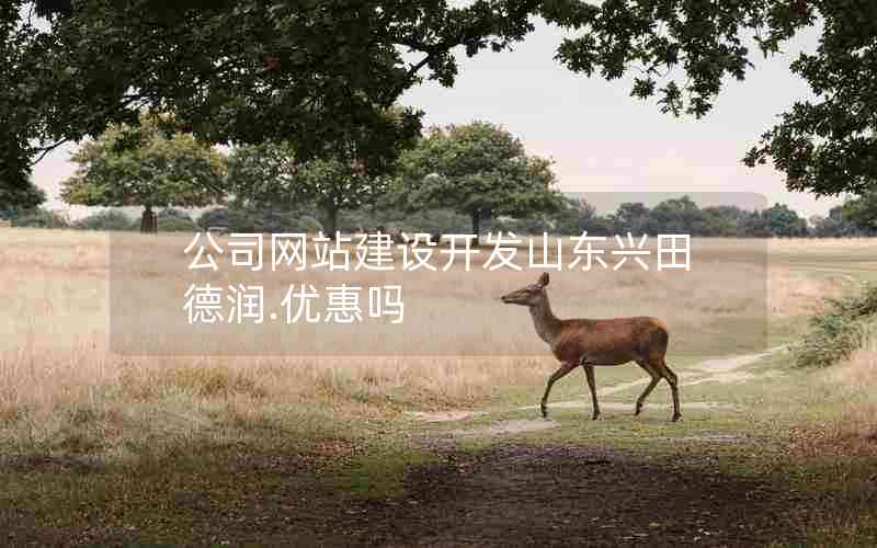 公司网站建设开发山东兴田德润.优惠吗