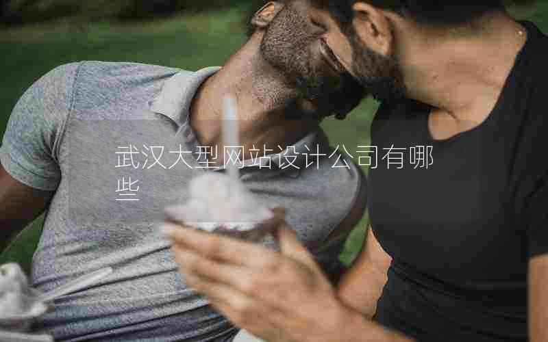 武汉大型网站设计公司有哪些