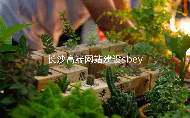 长沙高端网站建设sbey