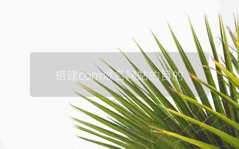 搭建com域名网站的目的