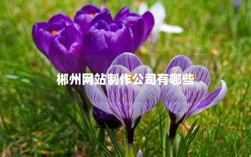 郴州网站制作公司有哪些