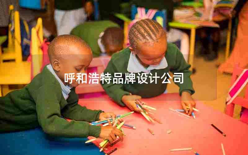 呼和浩特品牌设计公司
