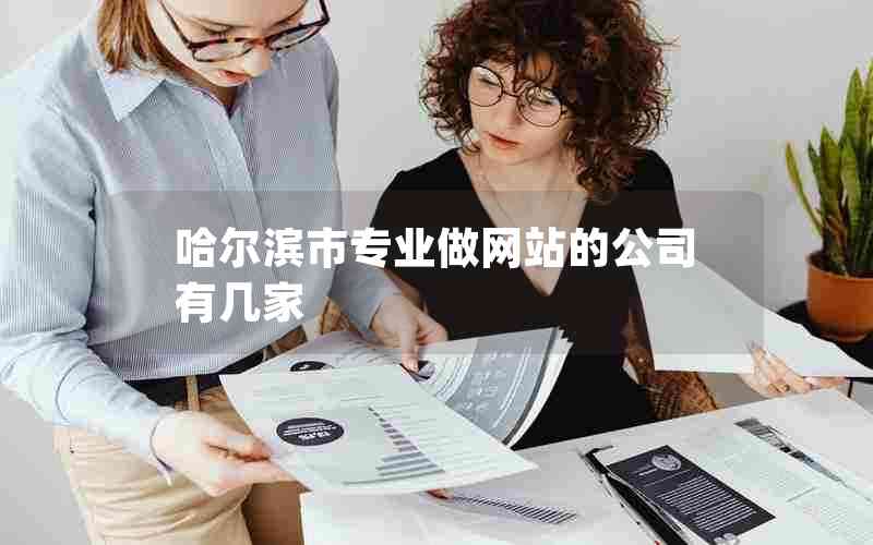 哈尔滨市专业做网站的公司有几家