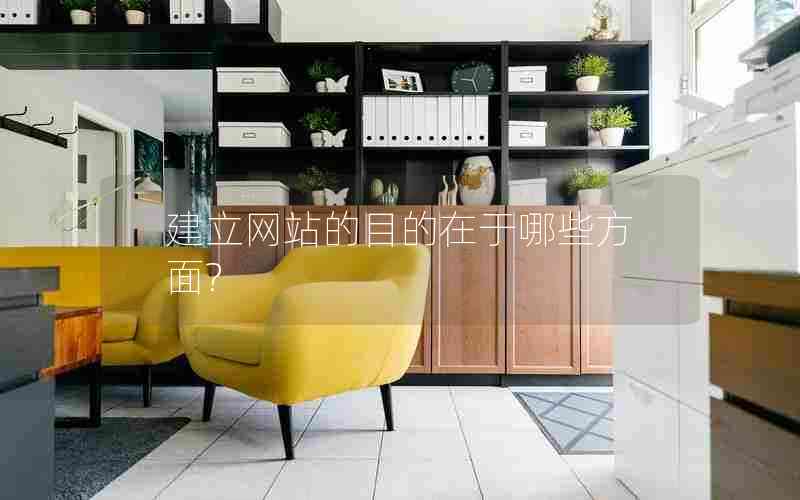 建立网站的目的在于哪些方面?
