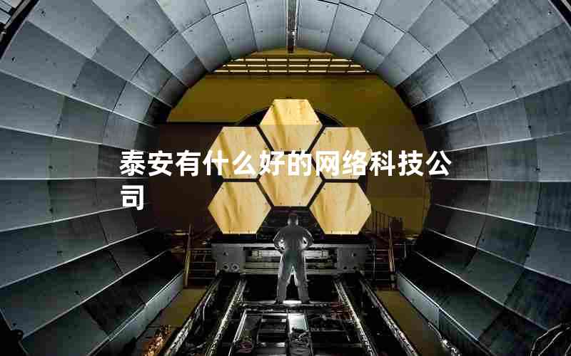 泰安有什么好的网络科技公司