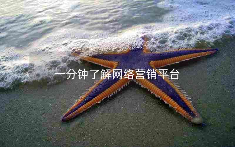 一分钟了解网络营销平台
