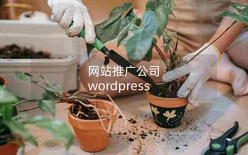 վƹ㹫˾ wordpress