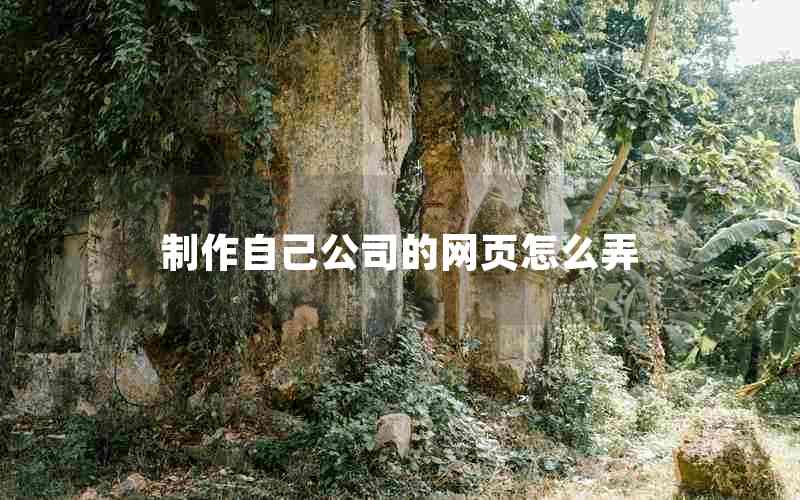 制作自己公司的网页怎么弄