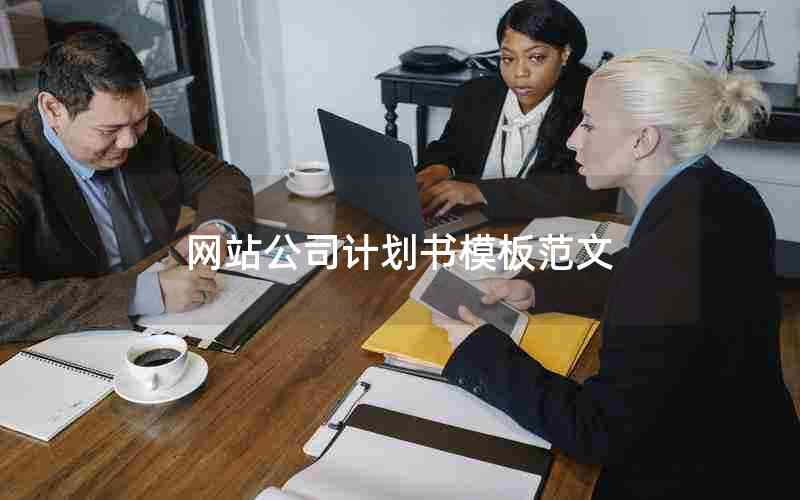 网站公司计划书模板范文