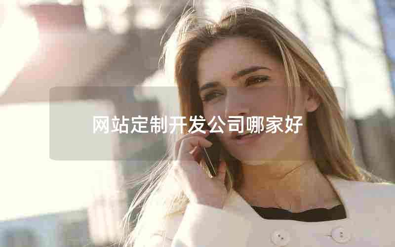 网站定制开发公司哪家好