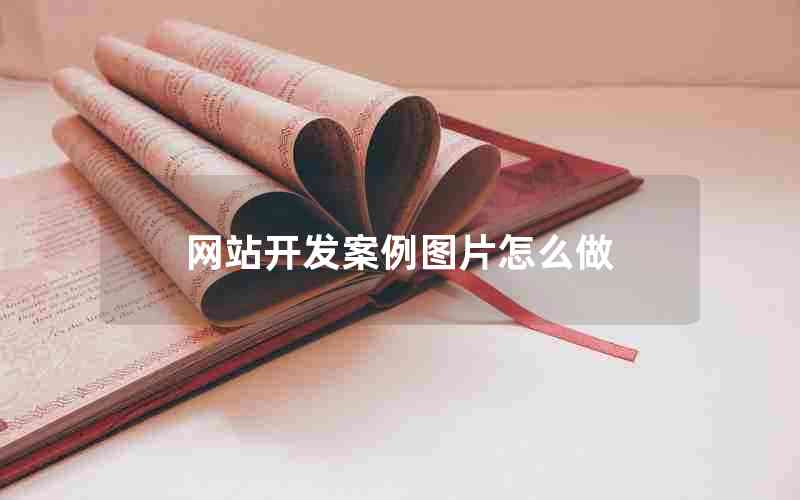 网站开发案例图片怎么做