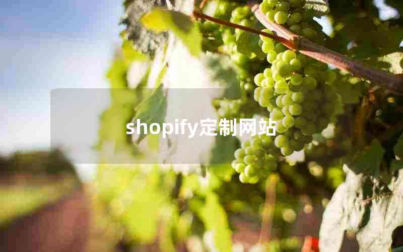 shopify定制网站(shopify shop app)
