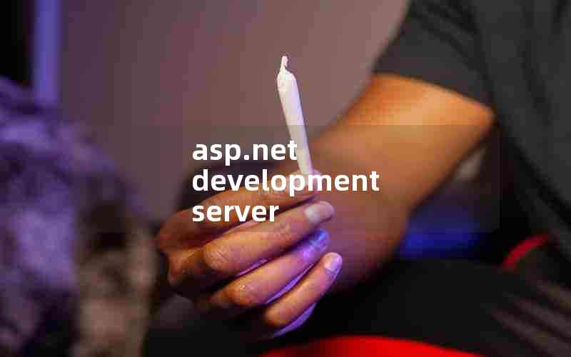 asp.net development server