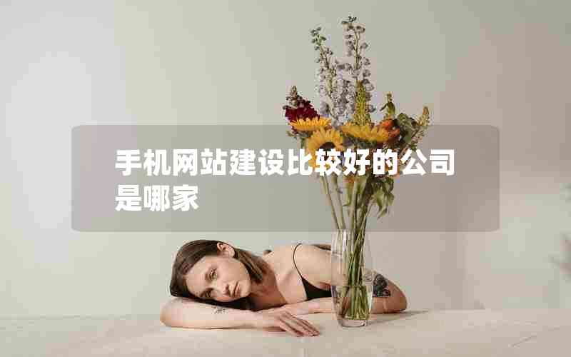手机网站建设比较好的公司是哪家