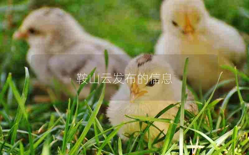 鞍山云发布的信息